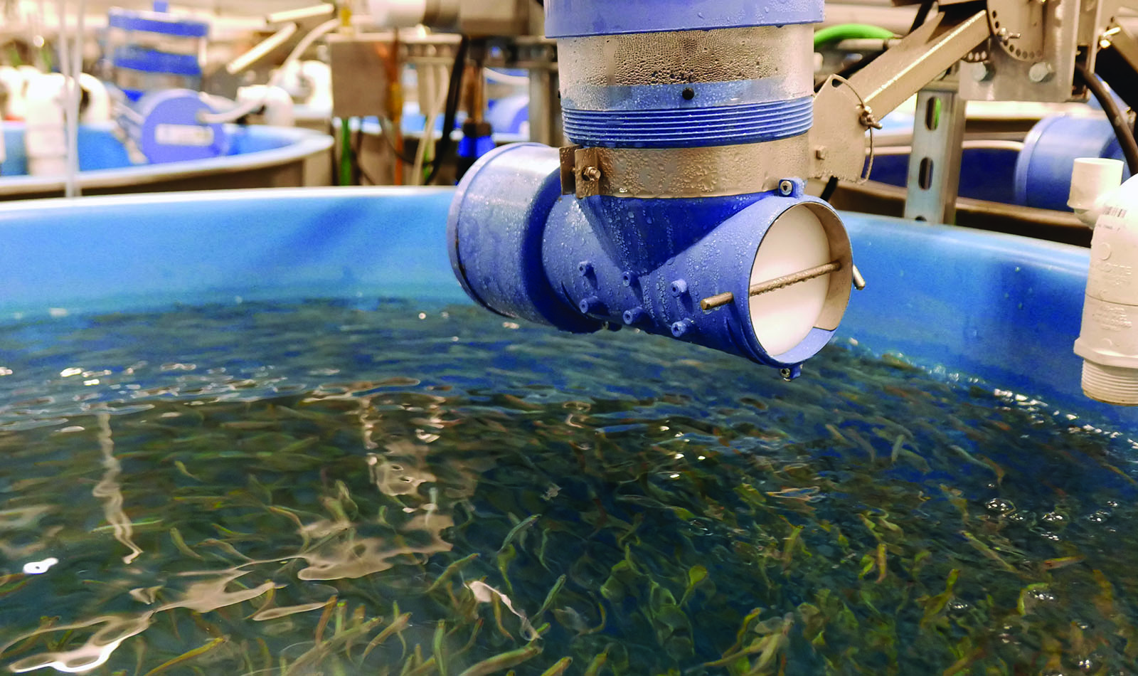 Aquatic Equipment Supply & Integrated Systems IAS, Inc.